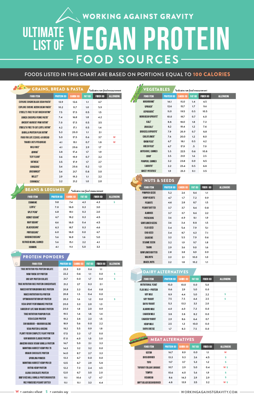 Vegan Protein Sources Working Against Gravity